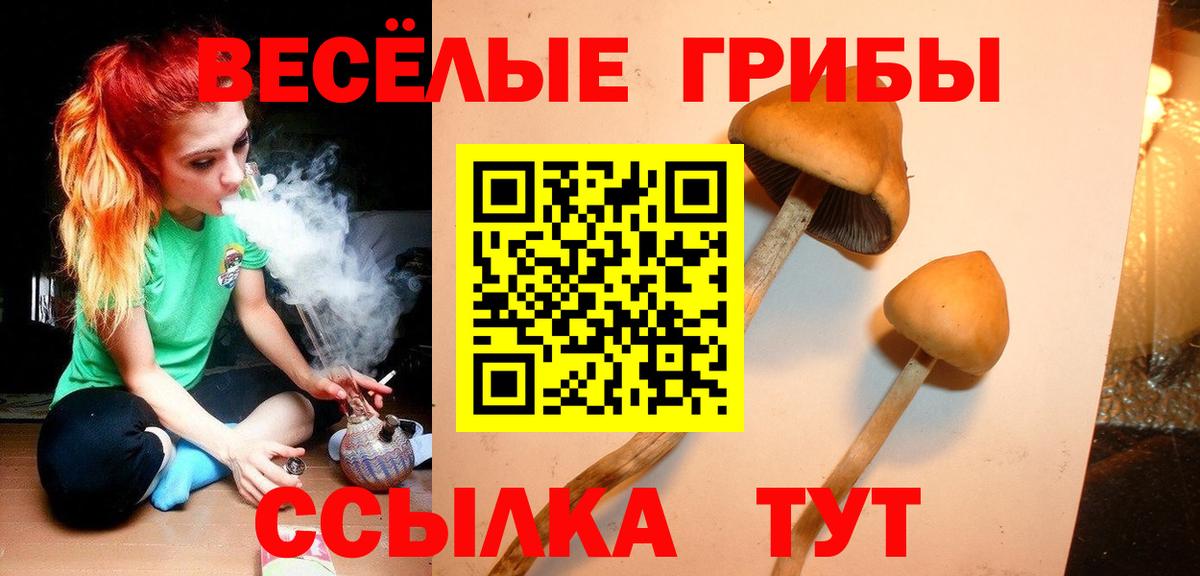 Шелехов  Галлюциногенные грибы прущие грибы  Вход с VPN  Галлюциногенные грибы GOLDEN TEACHER 